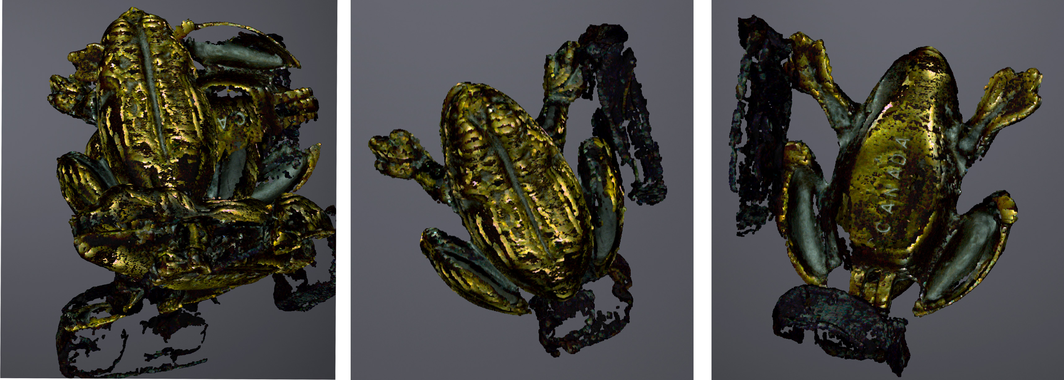 Three views of a patchy digital scan of a small metal frog statue from different angles. The view on the right clearly reads 'CANADA' printed across the bototm.